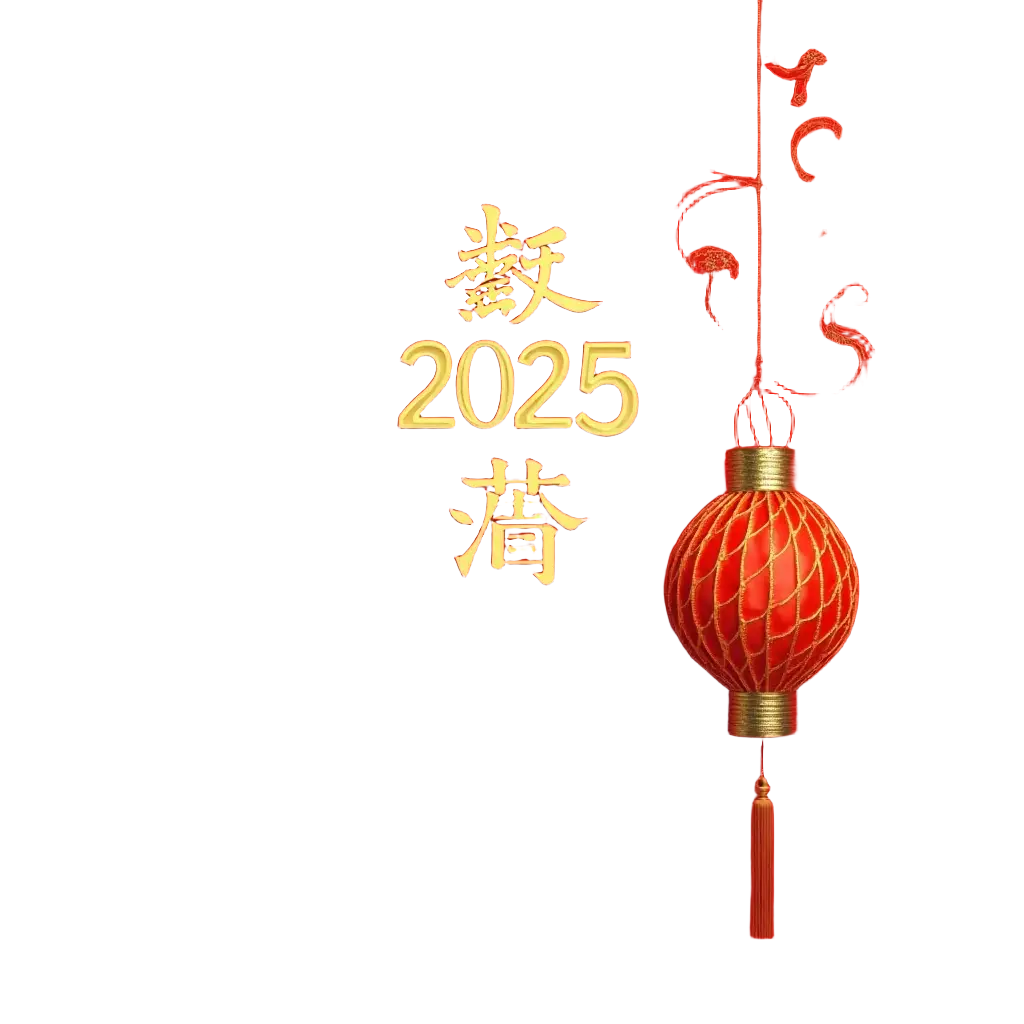 Celebrating 2025 with a Traditional Red Lantern